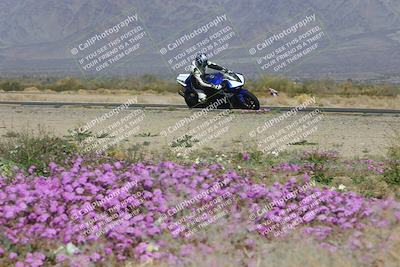 media/Feb-04-2023-SoCal Trackdays (Sat) [[8a776bf2c3]]/Turn 15 Inside Blooming (1050am)/